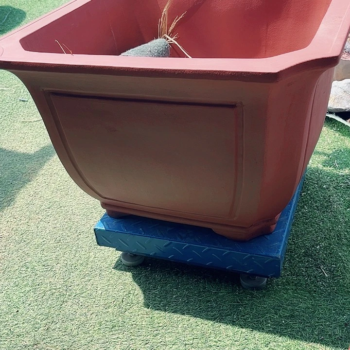 花***酒宜兴紫砂四方切角