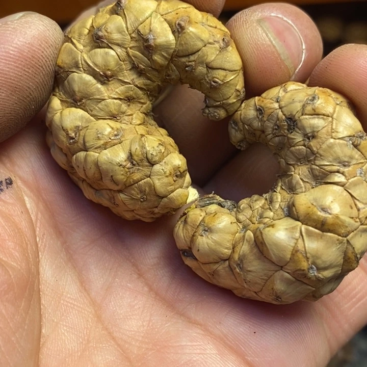 吊坠文玩核桃东北特产45