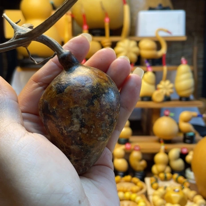 初***初天然葫芦自然生长