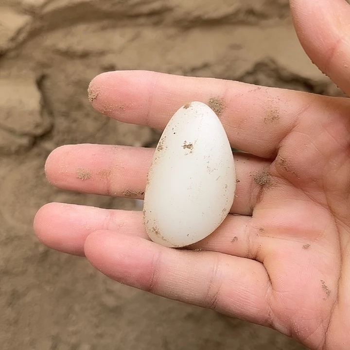 石英质玉未镶嵌珠宝奇石