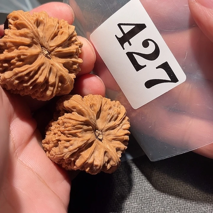 1***2核桃11111111111111111