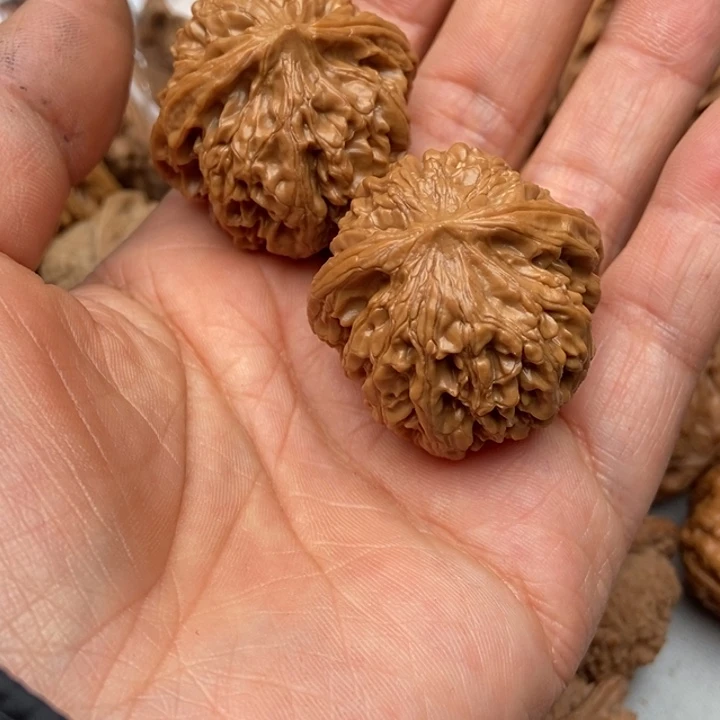 文玩核桃把件姐*✞龙穗