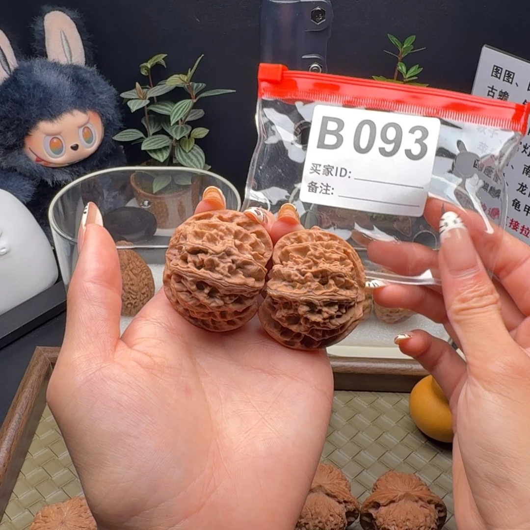 龙脊菩提吊坠苹果园