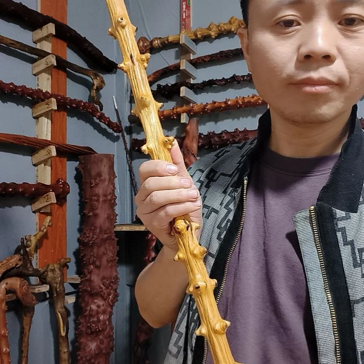 龙***龙木南对接登山杖文明杖
