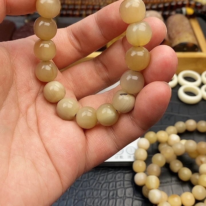 大果紫檀（缅甸花梨）