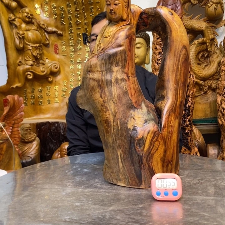 鑫***告木香樟木高度55厘米