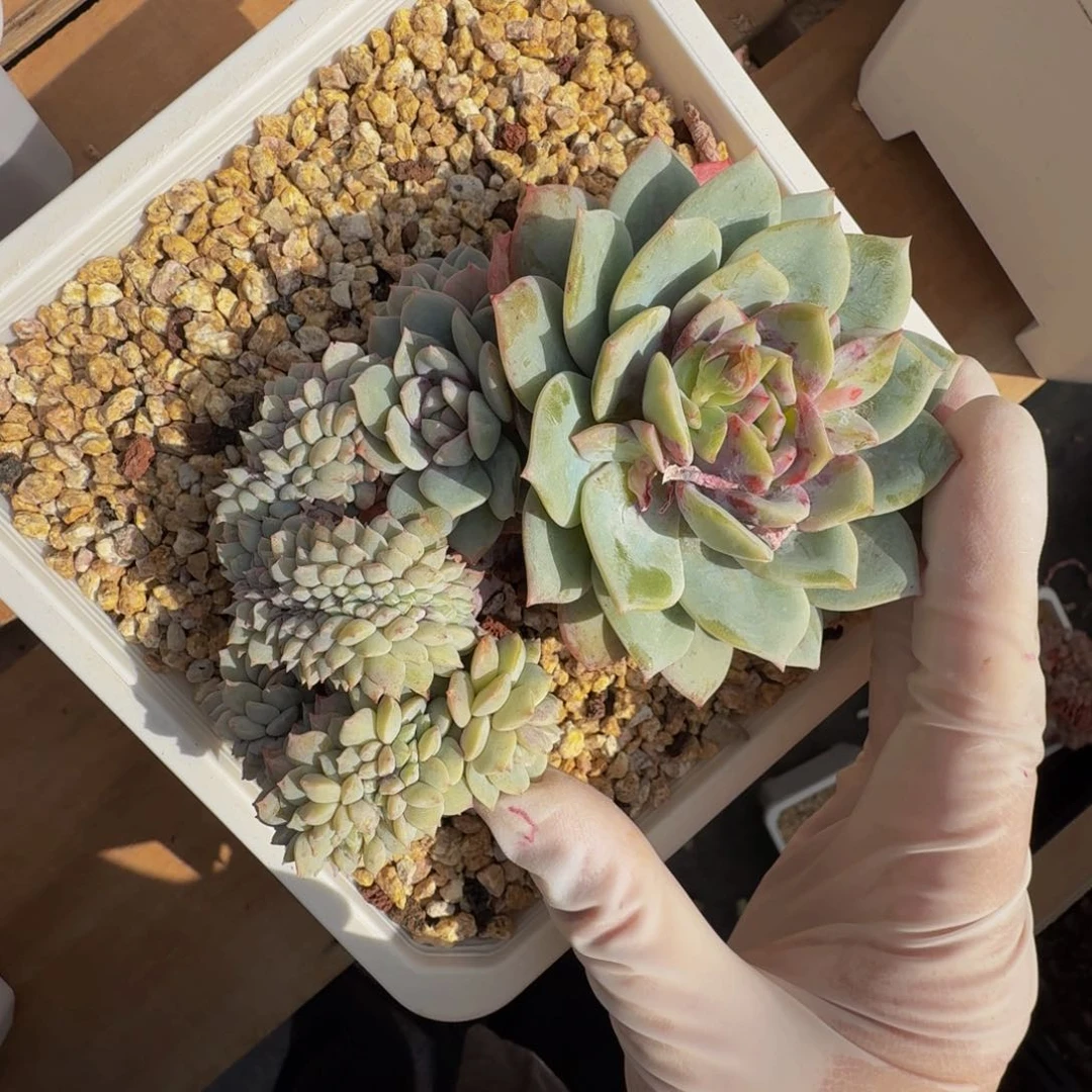 b b b b b b b b 14