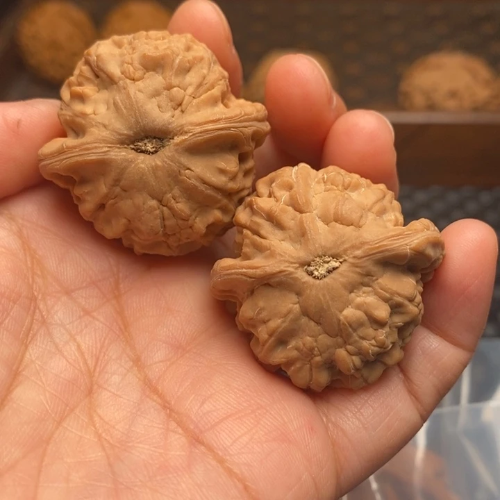 文玩核桃把件小金鱼