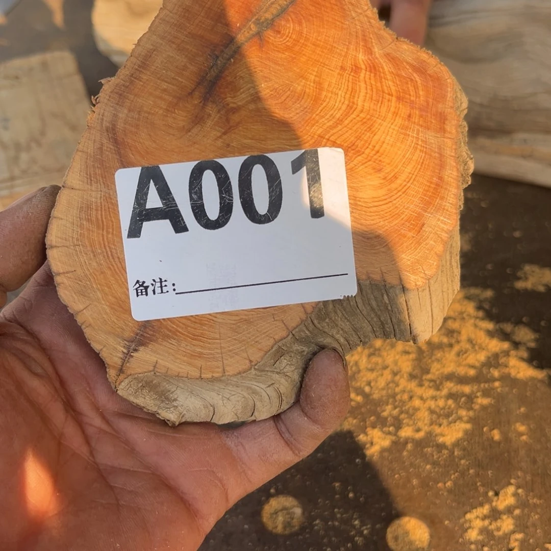 柏木（崖柏）崖柏切片a001