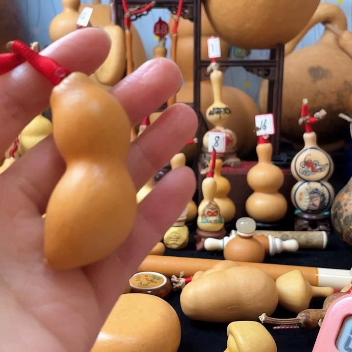 常***9葫芦丝老师去往自己的方向找方向努力