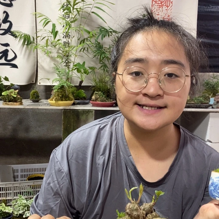 青***稚无花朵一物一拍80