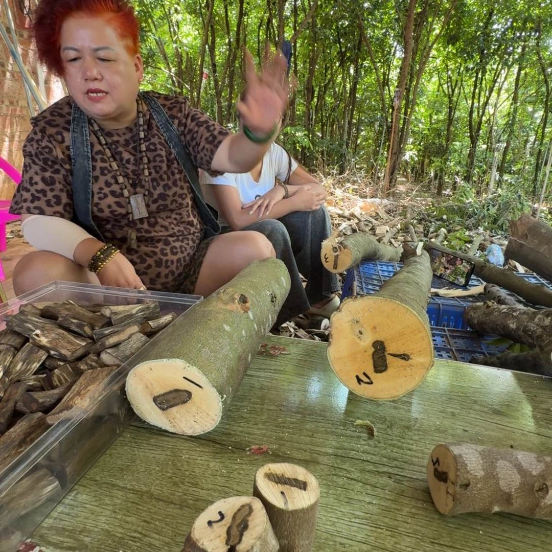 被***市线香奇楠沉香原木