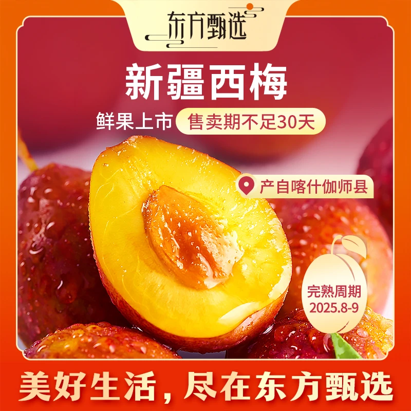 东方甄选自营新疆西梅软糯香甜多汁当季新鲜水果产自喀什坏果包赔