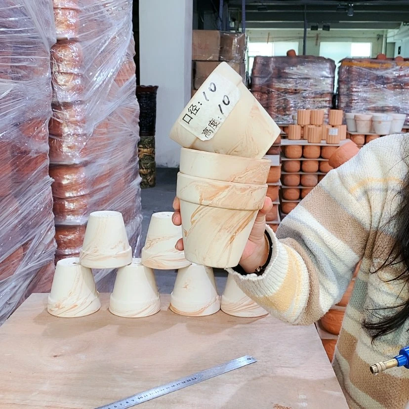 【闪购商品】红陶玛奇朵10×10三个