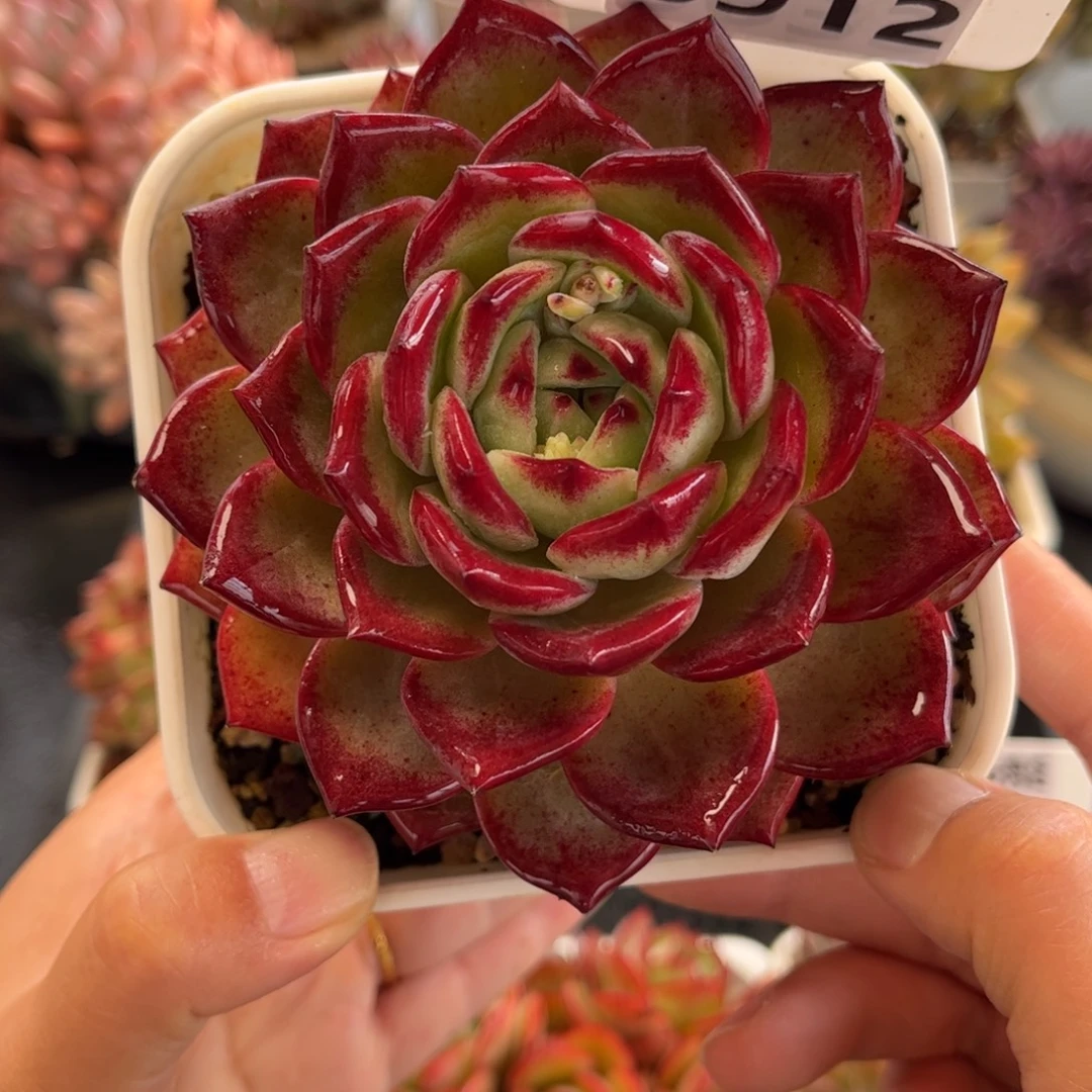 0912 天冷必拍保温箱