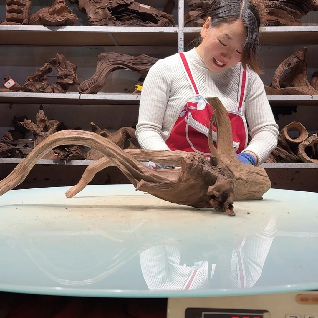 倍诸沉木，不包损必褪色从**来5168-2