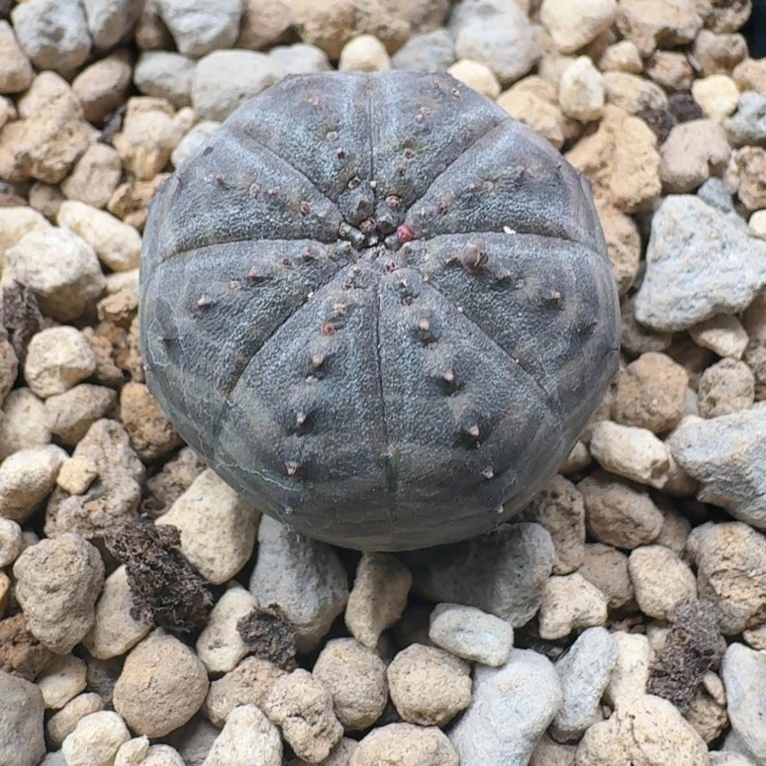 【闪购商品】42哈哈哈哈哈哈哈