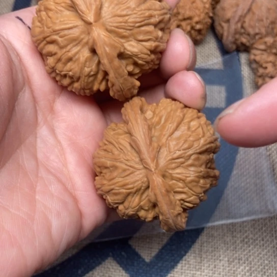 吊坠文玩核桃白狮子