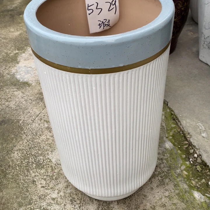 花盆里的小猫咪们都好可爱啊