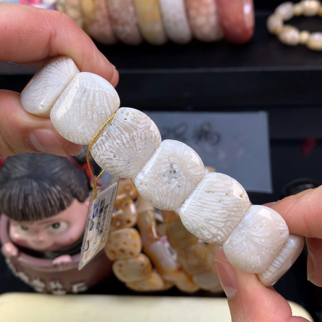 硅化珊瑚（珊瑚玉）未镶嵌颈饰47号骨骼白龙骨