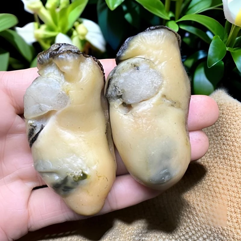 【金蚝干25-30头】生晒 无抽油 5-6成干 儿童 速冻冷链发货