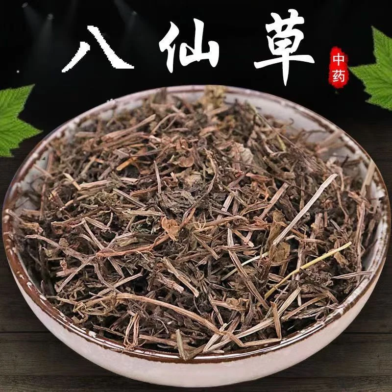 八仙草中药材品质新鲜新货干净八仙草猪殃殃锯子草小茜草细茜草甄