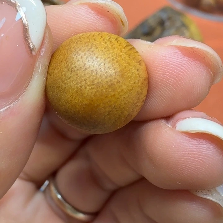 大叶紫檀（黑酸枝木类）