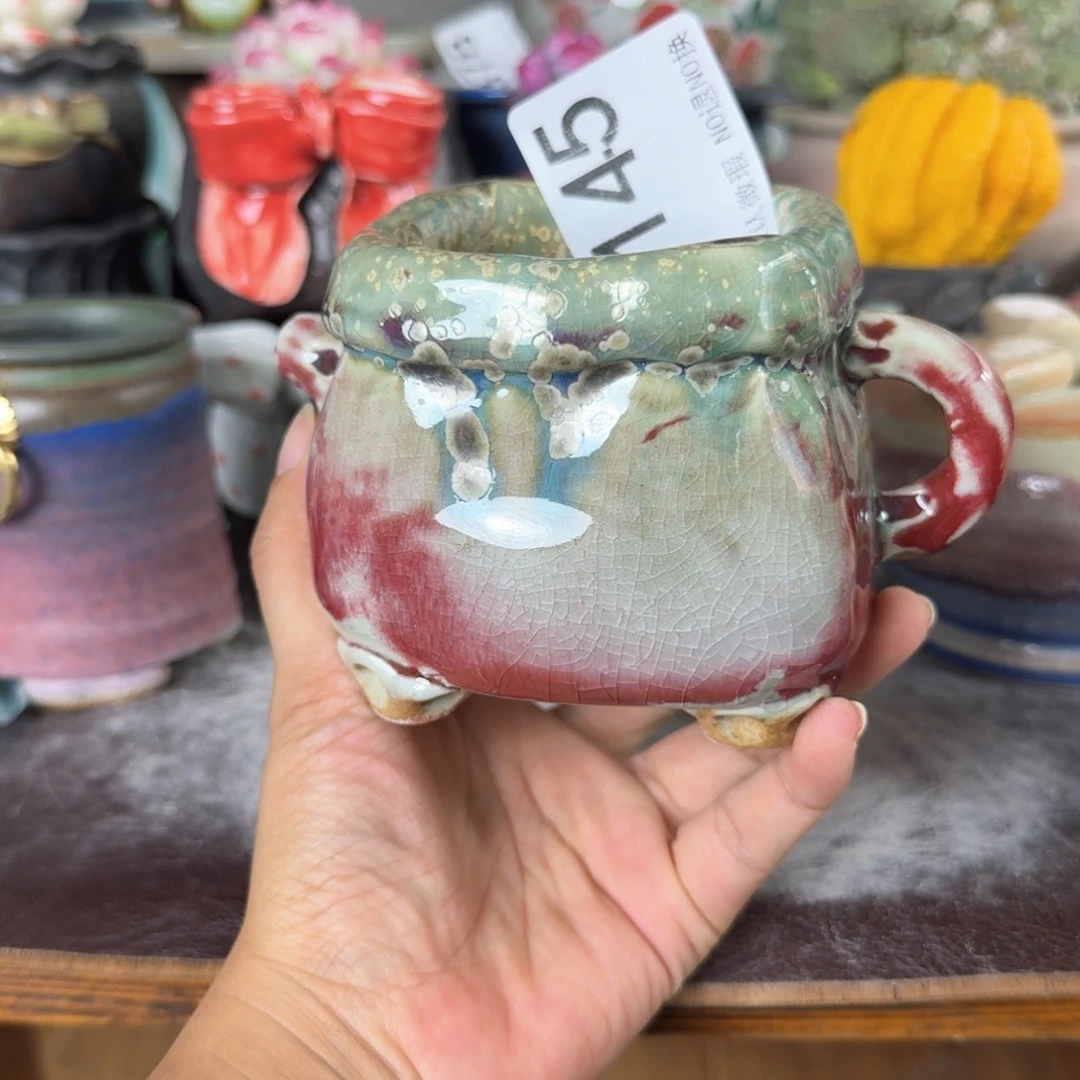 重庆小燕子欢迎大家145