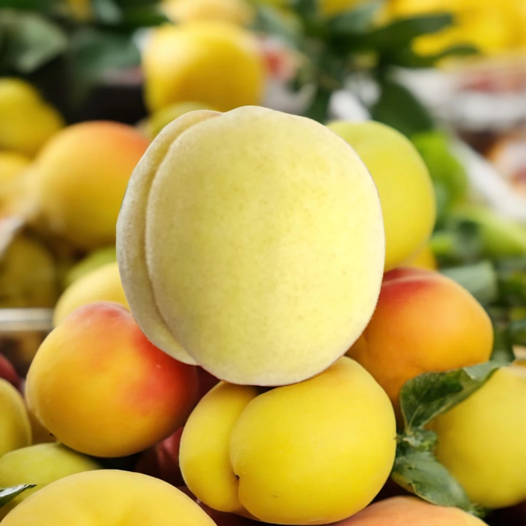 【新哥助农】特价大果锦绣黄桃、新鲜黄桃香甜多汁应季高山包邮