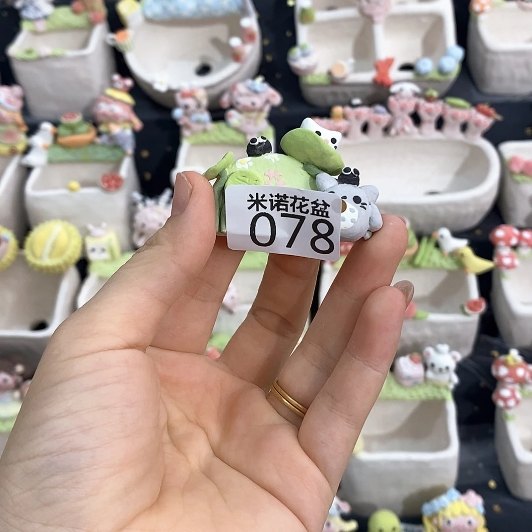 米诺多肉植物花盆078