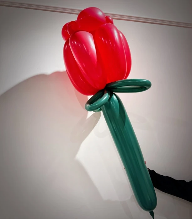 巨型情人节660玫瑰花。成都城区加附近区县免费送上门）