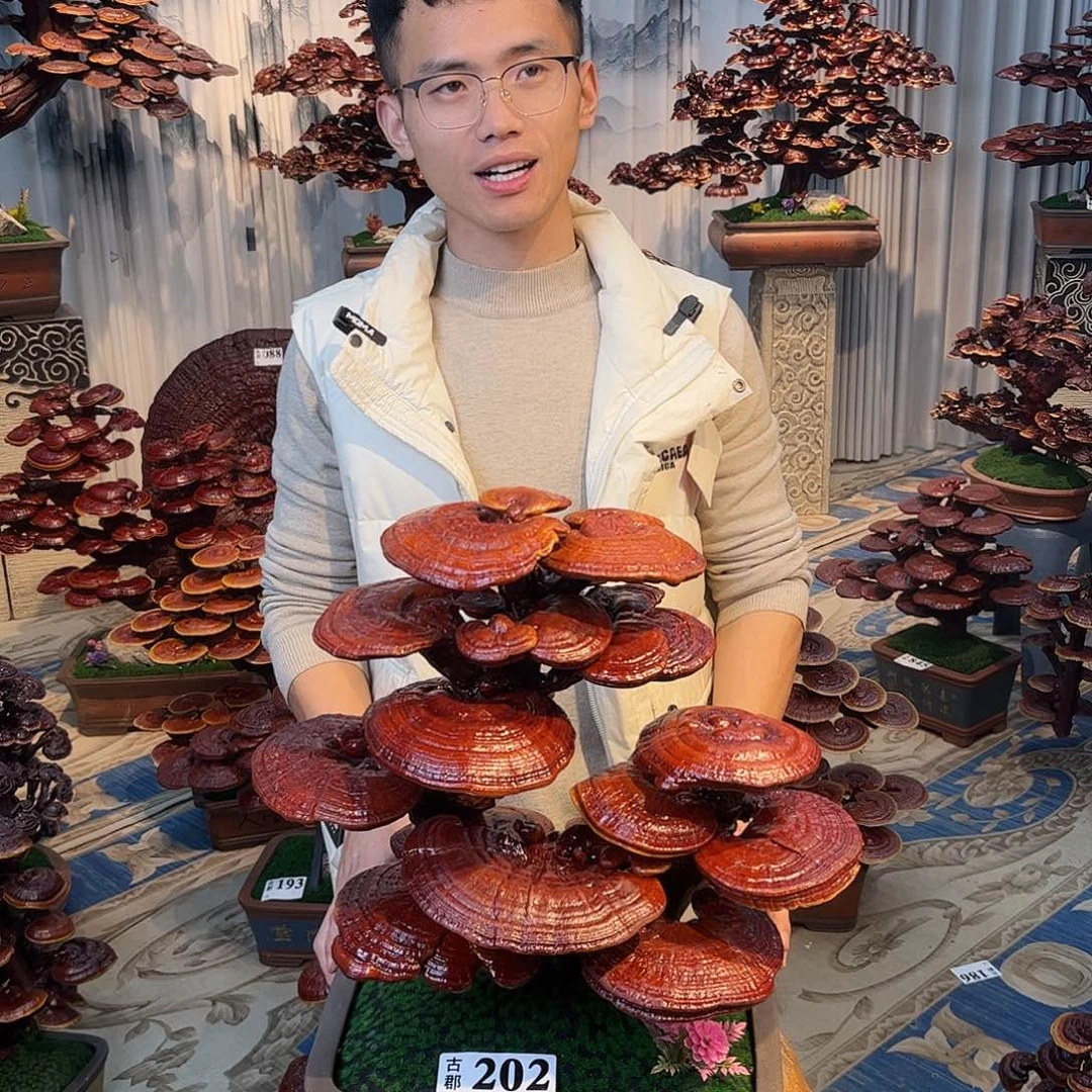 无花朵588888888889