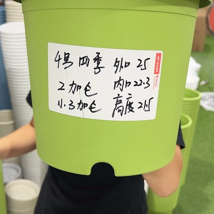 特价4号四季口25高21.5果绿8只无托