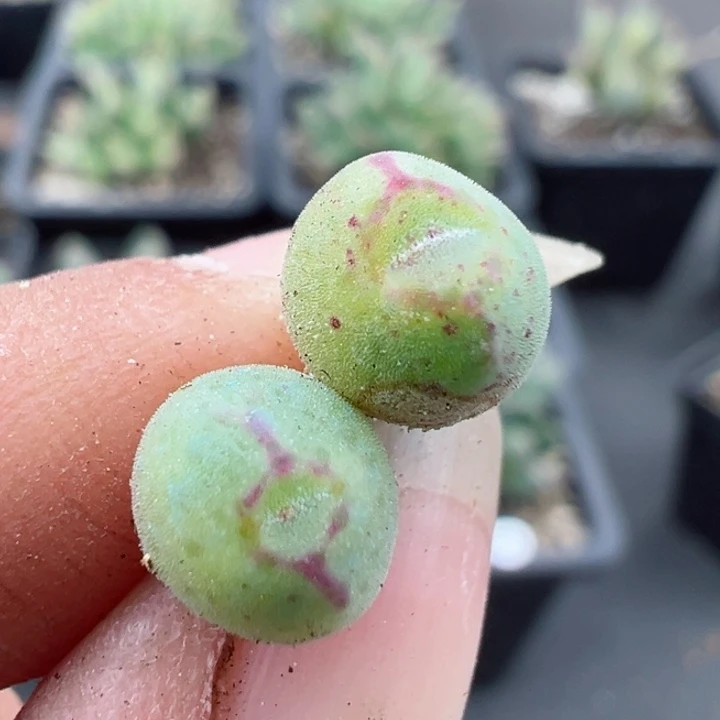 414好111111111111111