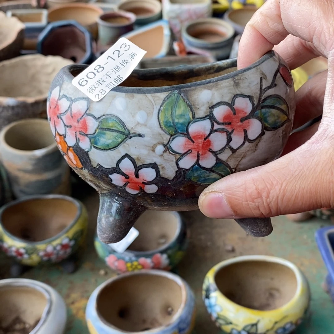 拇**王123号多肉盆口径9