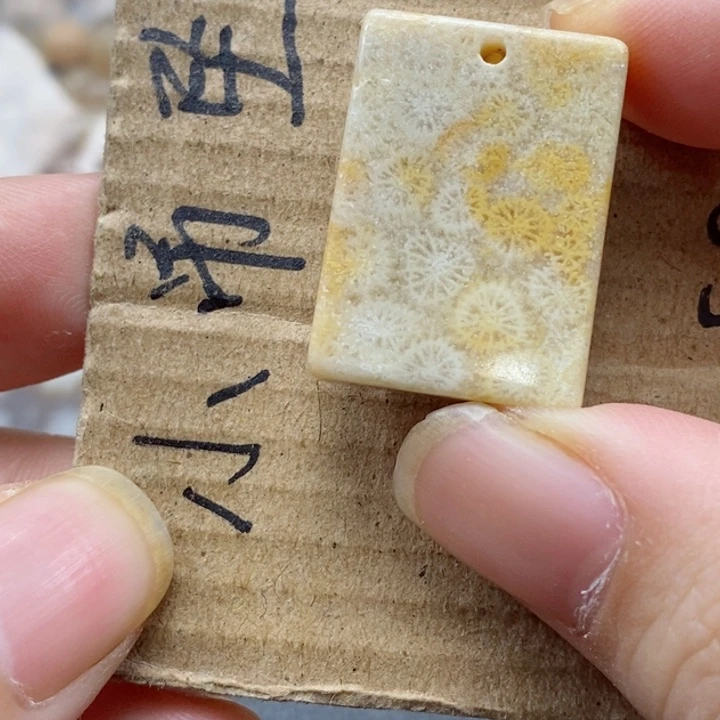 硅化珊瑚（珊瑚玉）颈饰未镶嵌牛***莎