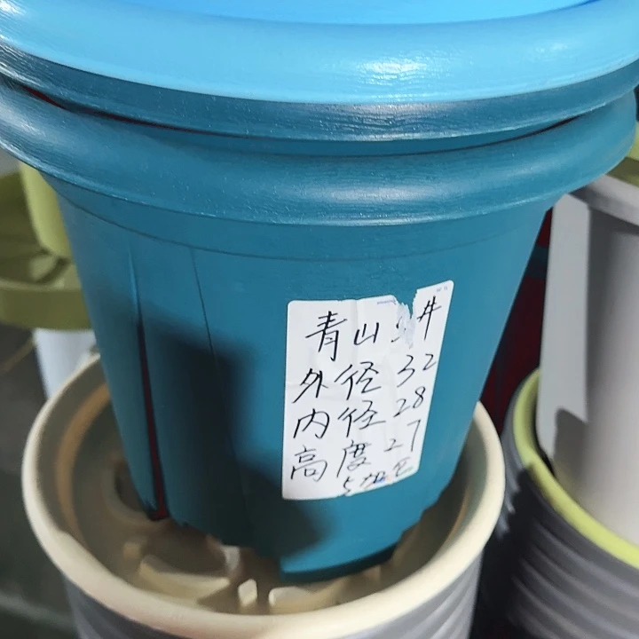 老青山6号军绿无托5个