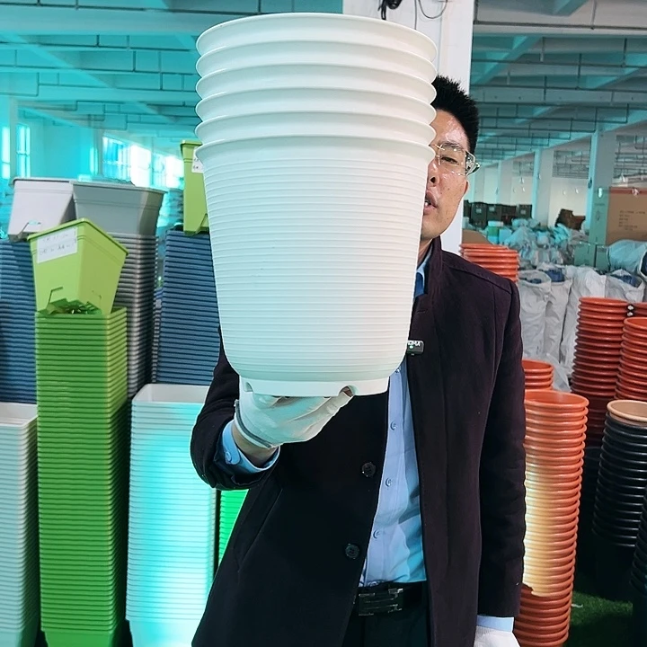 正品高陶口24高24白色5只无托