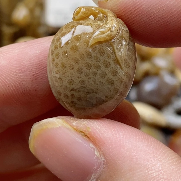 颈饰未镶嵌硅化珊瑚（珊瑚玉）小