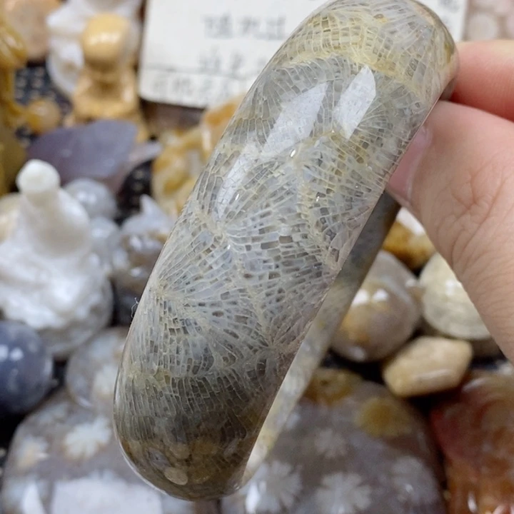 颈饰未镶嵌硅化珊瑚（珊瑚玉）60