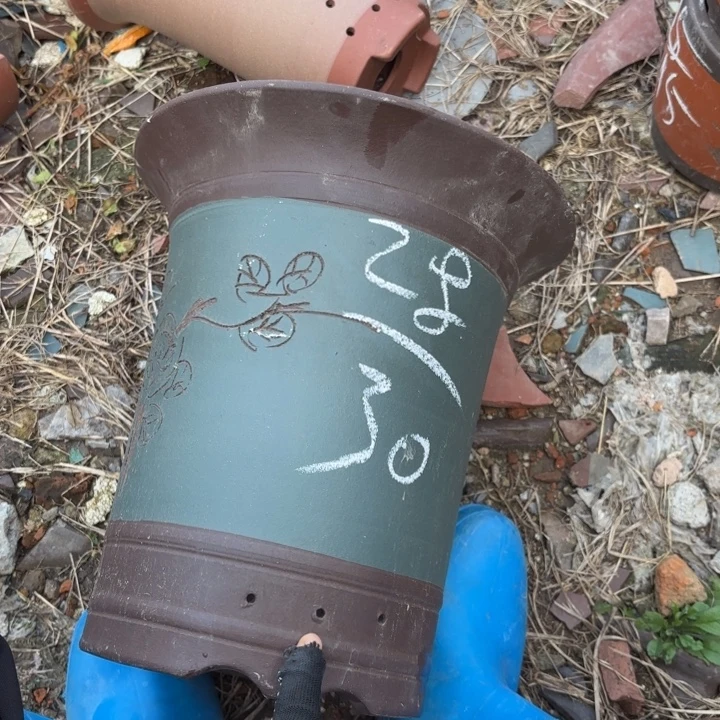 紫砂花盆紫砂的花