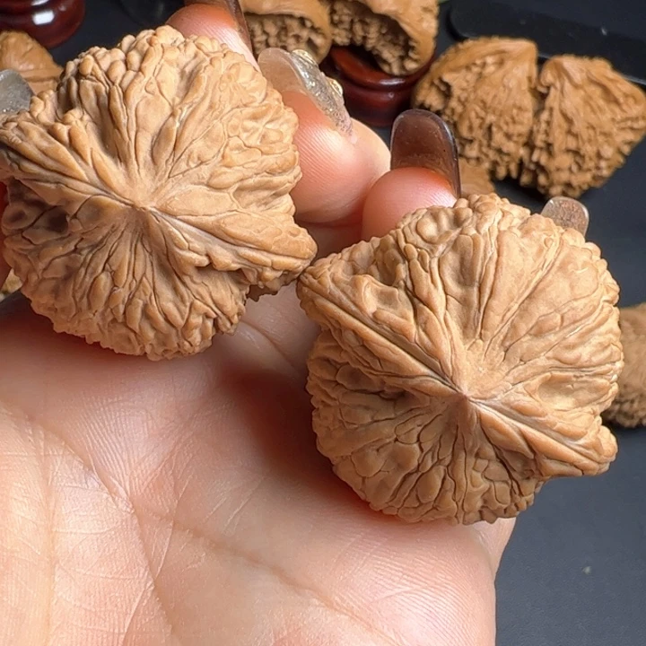 核桃全品无修泥鳅背