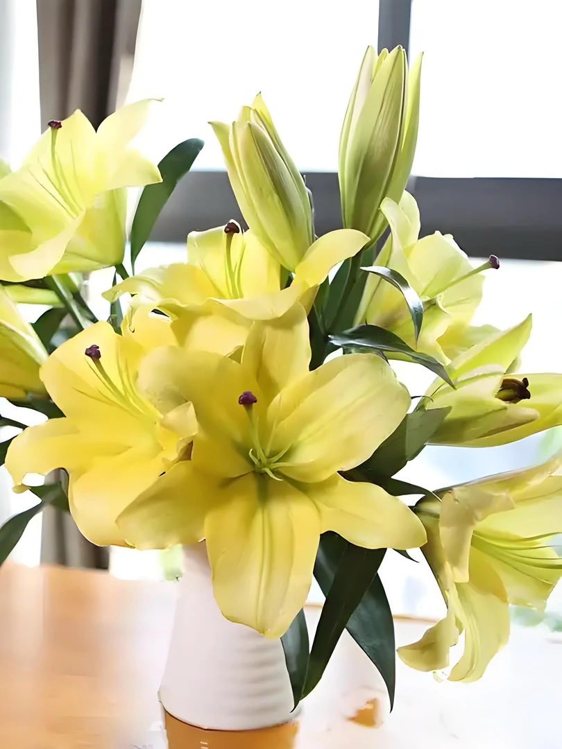 浓香型仨头）黄天霸香水百合宠粉鲜花家庭办公室插瓶花