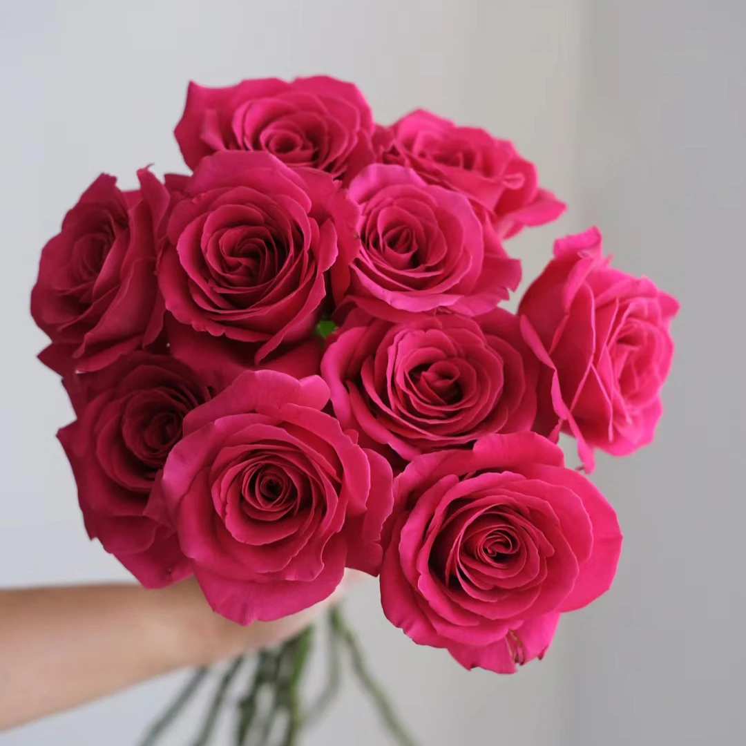 【弗洛伊德】云南鲜花基地直发【温度0°以需拍保温棉】拍三单送花瓶