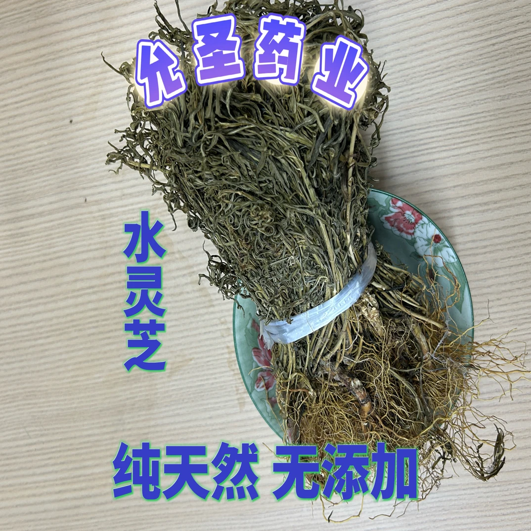 【允圣药业】野生黄连水灵芝中药材 鱼腥草道地药材