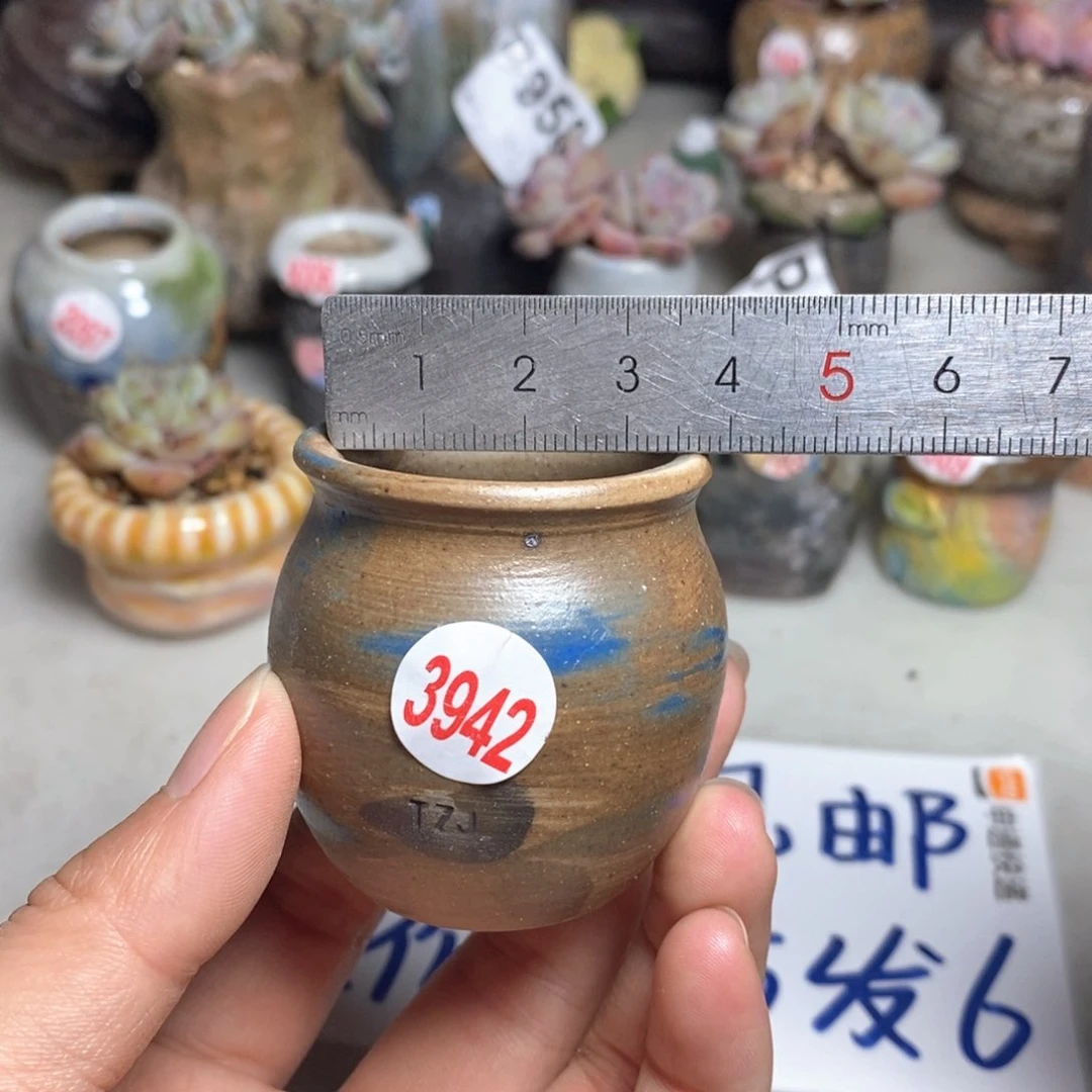 拍5送一个小礼物