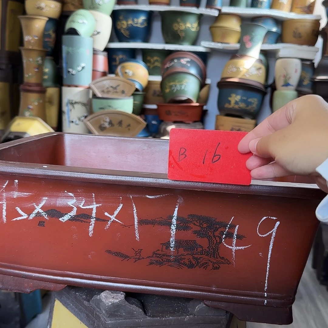 B16花盆花盆花盆花盆花盆