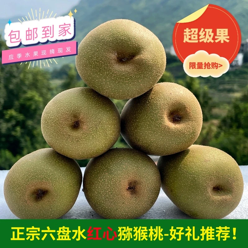 正宗六盘水红心猕猴桃当季孕妇水果奇异果软糯香甜多汁京东包邮