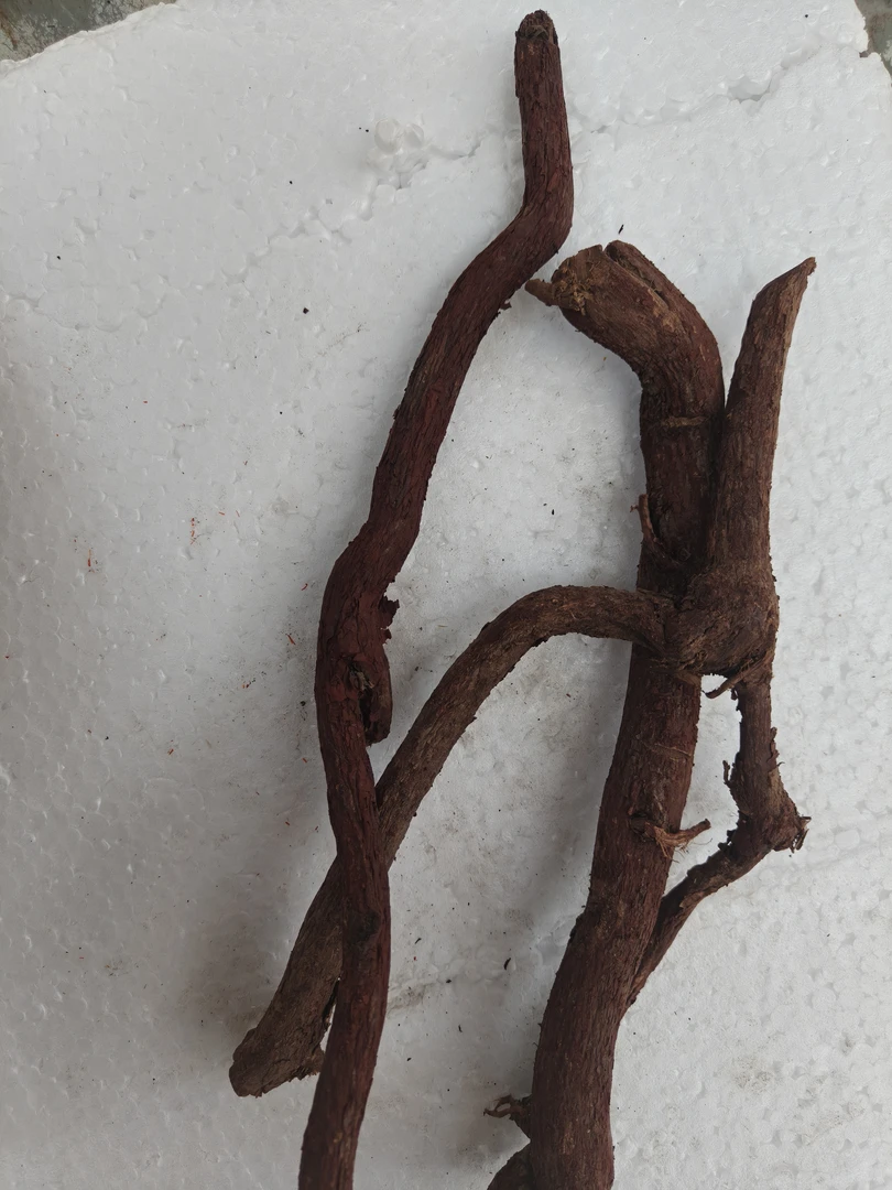 李总东南亚山货，（红穿破石）直播间非香菇类