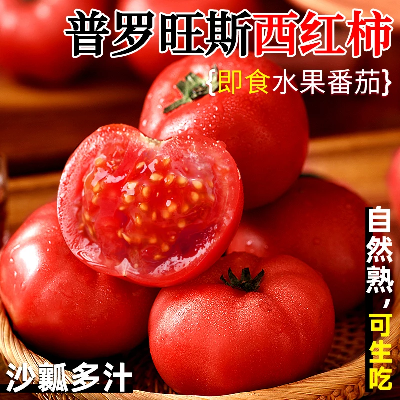 普罗旺斯沙瓤西红柿可生吃番茄大树番茄纯天然自然熟老品种一颗大